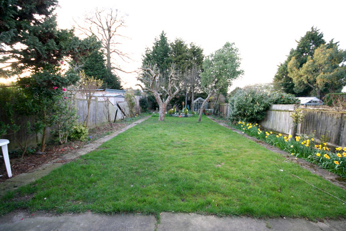 Picture 9