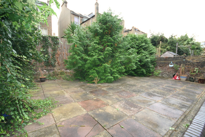 Picture 6