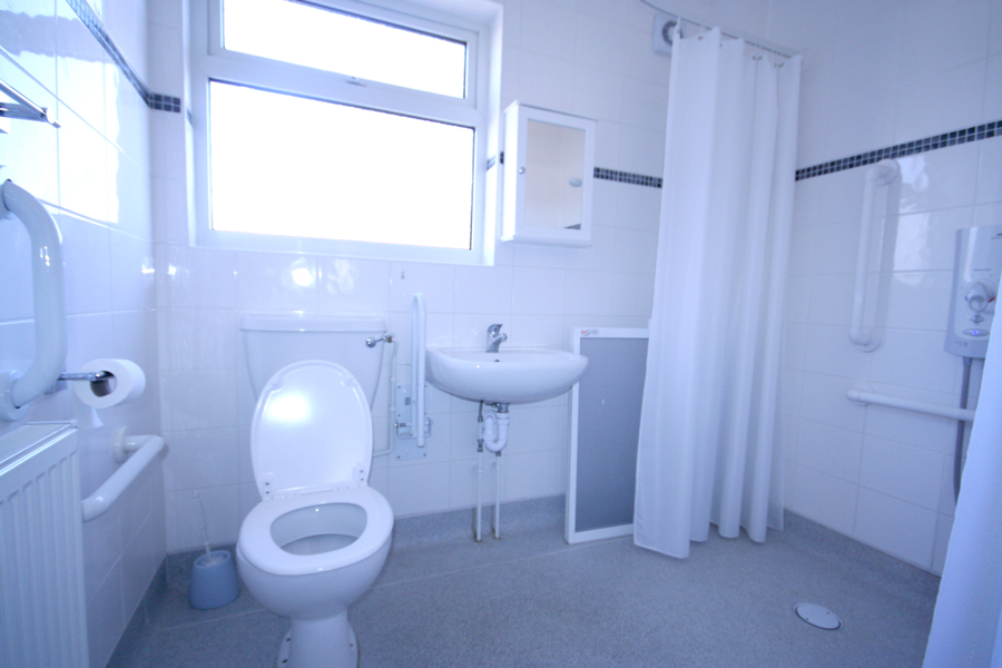 Picture 5