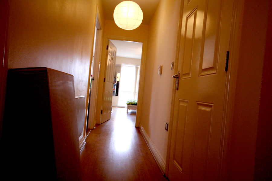Picture 8