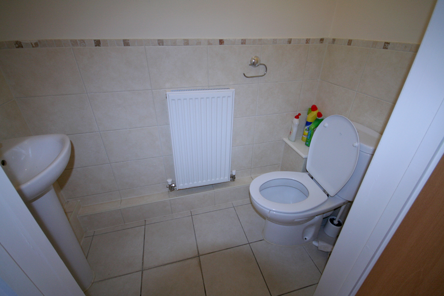 Picture 7