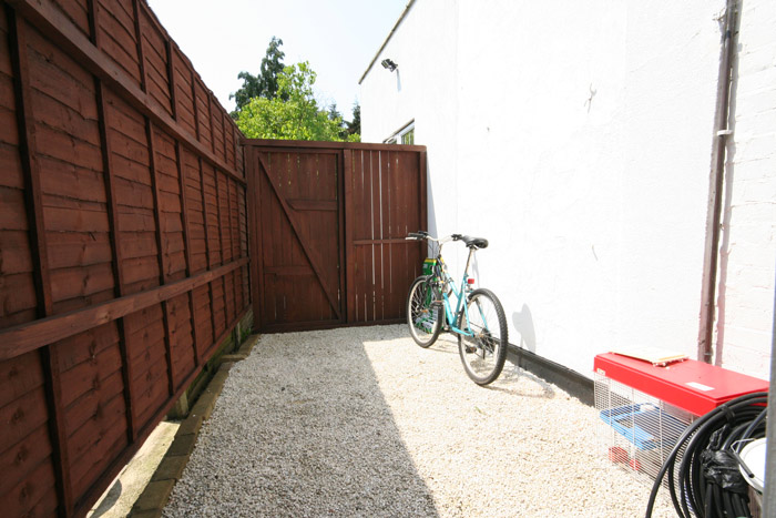 Picture 5