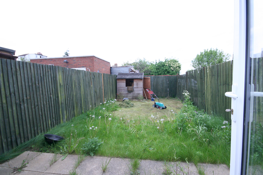 Picture 8