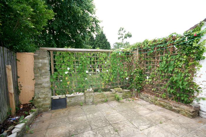 Picture 6