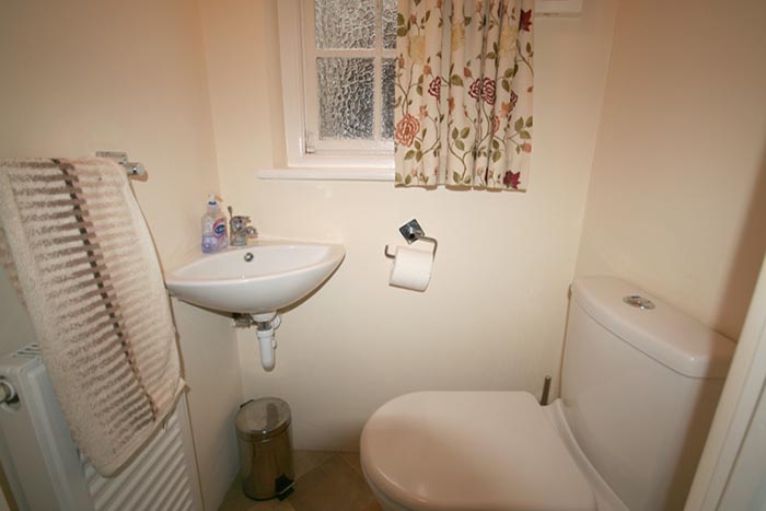 Picture 7