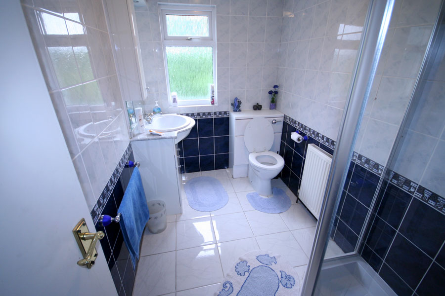 Picture 12